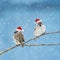 Two little birds sparrows in festive red Santa hats sitting on a branch under the snow in the Christmas garden