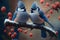 Two Little blue titmouse birds on branch covered with snow. Christmas, New year eve and winter holiday scene. Xmas greeting card