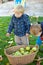 Two little boys with apple basket