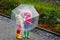 Two little boys, best friends and siblings walking with big umbrella outdoors on rainy day. Preschool children having
