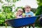 Two little boys having fun in wheelbarrow pushing by father