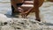 Two little boys play with a toad on the river bank on the beach. Slow Motion