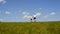 Two little boys running in a green meadow holding hands on a background of blue sky and clouds