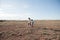 Two little children orphan migrant refugees boy with toy and girl walking along holding hands in hot desert in Mexico