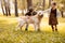 Two little children petting a dog