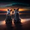 Two little dogs sitting on a beach in the evening looking up into the night sky