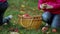 Two little girls collect apples on the grass in a basket on an autumn day