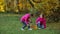 Two little girls collect apples on the grass in a basket on an autumn day