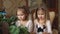 Two little girls make a Christmas wreath