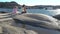 Two little girls play among the coastal rocks on the beach.