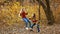 Two little girls play with rope swing and swing each other in autumn Park. Children laugh happily