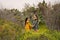 Two little girls in retro vintage dresses holding hands stand in cactuses and overgrown branches