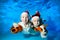 Two little girls swim underwater with a toy dog in his hands, looking at the camera and laugh. Portrait.