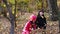 Two little girls throwing fall leaves in autumn park