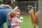 Two little girls and woman feeding fluffy furry alpacas lama. Happy excited children and mother feeds guanaco in a