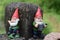 Two little Gnomes playing and working hard