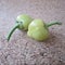 Two little hot green peppers on brown cork background. Spicy food components