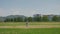 Two little joyful Sisters playing in the dandelions field. Happy small girls having fun, running the meadow near the city. concept