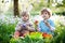 Two little kids boys and friends in Easter bunny ears during traditional egg hunt in spring garden, outdoors. Siblings