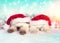 Two little kittens wearing santa hat