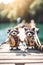 Two little raccoons are standing on a dock. Generative AI image.