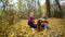 Two little sister girls play in the autumn Park with an Irish setter dog