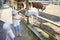 Two little sisters feeding a baby llama