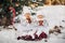 Two little twin girls in white suits sit and eat big buns in the winter outside