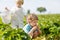 Two little twins boys on pick a berry farm picking strawberries