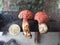 Two little unusual red mushrooms in wood