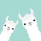 Two llama alpaca animal set. Face neck. Fluffy hair fur. Cute cartoon funny kawaii character. Childish baby collection. T-shirt, g