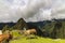 Two Llamas on a plateau area in Machu Picchu