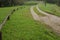 Two long roads and wooden fence on green hill