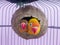 two lovebirds are in a nest made of coconut shells
