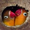 two lovebirds are in a nest made of coconut shells