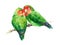 Two Lovebirds Watercolor Exotic Bird Love Illustration Hand Drawn