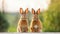 Two lovely brown rabbit. Generative AI.