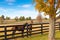 Two loving horses at horsefarm. Autumn country landscape