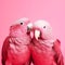 Two loving pink parrots hug and kiss each other, Generative AI, generative artificial a intelligence