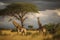 Two Maasai giraffe, male and female, grazing from an acacia tree in the Masai Mara, Kenya