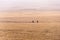 Two Maasai walking in the wide grass savanna near Serengeti National Park