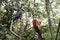 Two Macaw Parrots Tropical Bird