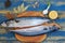 Two mackerel fishes on the wooden board ready for cooking decorated with lemon slices, spices on the blue wooden table