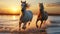 Two Magnificent Horses in a Powerful Sunset Run by the Sea. Generative AI