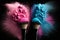 Two makeup brushes with blue and pink exploding powder on black background