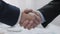 Two male business partners shaking hands, profitable agreement, co-operation