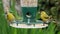 Two male siskins on a bird feeder