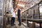 Two male technicians working at a wine factory, low angle