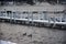 Two Mallard Ducks Floating in a Cold Lake with Snow on Piers