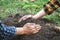 Two man helping to carrying seedling and protection new growing seedling for planting in the garden